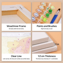 Carica l'immagine nel visualizzatore di Gallery, Dipingere con i numeri – Set di 6 tele | Cocktail colorati
