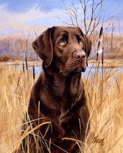 Carica l'immagine nel visualizzatore di Gallery, Dipingere con i numeri - Cane Labrador