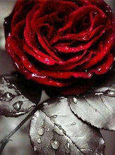 Carica l&#39;immagine nel visualizzatore di Gallery, Diamond Painting - Rosa Rossa