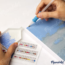 Carica l&#39;immagine nel visualizzatore di Gallery, Diamond Painting - Farfalle Vibranti 40x50cm tela già incorniciata