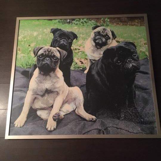 Nadia e il suo Diamond Painting personalizzato