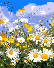 Carica l'immagine nel visualizzatore di Gallery, Dipingere con i numeri - Distesa di margherite sotto al cielo blu