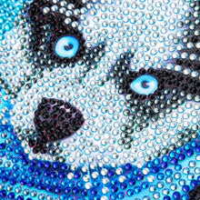 Carica l'immagine nel visualizzatore di Gallery, Kit Diamond Painting 5D per Bambini - Husky con Cornice Fotografica