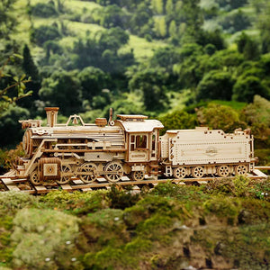 Puzzle 3D - Treno a Vapore