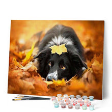 Carica l'immagine nel visualizzatore di Gallery, Dipingere con i numeri - Cane Nero Si Rilassa Figured'Art