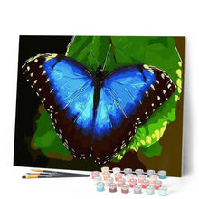 Carica l'immagine nel visualizzatore di Gallery, Dipingere con i numeri - Farfalla Blu Figured'Art