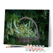 Carica l'immagine nel visualizzatore di Gallery, Dipingere con i numeri - Cesto Di Fiori Figured'Art