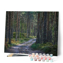 Carica l'immagine nel visualizzatore di Gallery, Dipingere con i numeri - Sentiero Nella Foresta Figured'Art