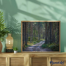 Carica l'immagine nel visualizzatore di Gallery, Dipingere con i numeri - Sentiero Nella Foresta