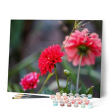 Carica l'immagine nel visualizzatore di Gallery, Dipingere con i numeri - Fiore Rosso Brillante Figured'Art