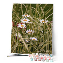 Carica l'immagine nel visualizzatore di Gallery, Dipingere con i numeri - Margherite In Giardino Figured'Art