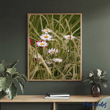 Carica l'immagine nel visualizzatore di Gallery, Dipingere con i numeri - Margherite In Giardino