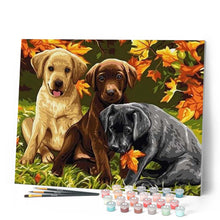 Carica l'immagine nel visualizzatore di Gallery, Dipingere con i numeri - Tre Cani Figured'Art