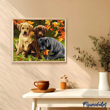 Carica l'immagine nel visualizzatore di Gallery, Dipingere con i numeri - Tre Cani