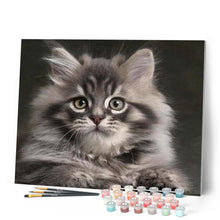 Carica l'immagine nel visualizzatore di Gallery, Dipingere con i numeri - Piccolo Gatto Figured'Art