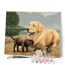 Carica l'immagine nel visualizzatore di Gallery, Dipingere con i numeri - Golden Retriever Figured'Art