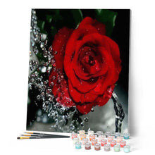 Carica l'immagine nel visualizzatore di Gallery, Dipingere con i numeri - Fragranza Di Rosa Rossa Figured'Art