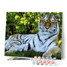 Carica l'immagine nel visualizzatore di Gallery, Dipingere con i numeri - Tigre Che Si Rilassa Figured'Art