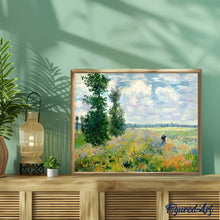 Carica l'immagine nel visualizzatore di Gallery, Dipingere con i numeri - Monet Campo Di Papaveri