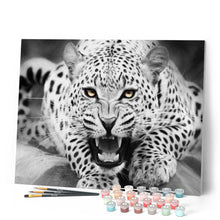 Carica l'immagine nel visualizzatore di Gallery, Dipingere con i numeri - Leopardo In Bianco E Nero Figured'Art