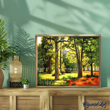 Carica l'immagine nel visualizzatore di Gallery, Dipingere con i numeri - Sunny Forest