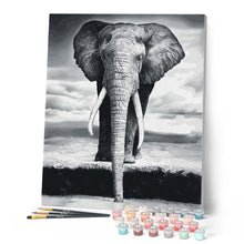 Carica l'immagine nel visualizzatore di Gallery, Dipingere con i numeri - Elefante Grigio Figured'Art