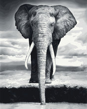 Carica l&#39;immagine nel visualizzatore di Gallery, Dipingere con i numeri | Elefante Grigio | Figured&#39;Art