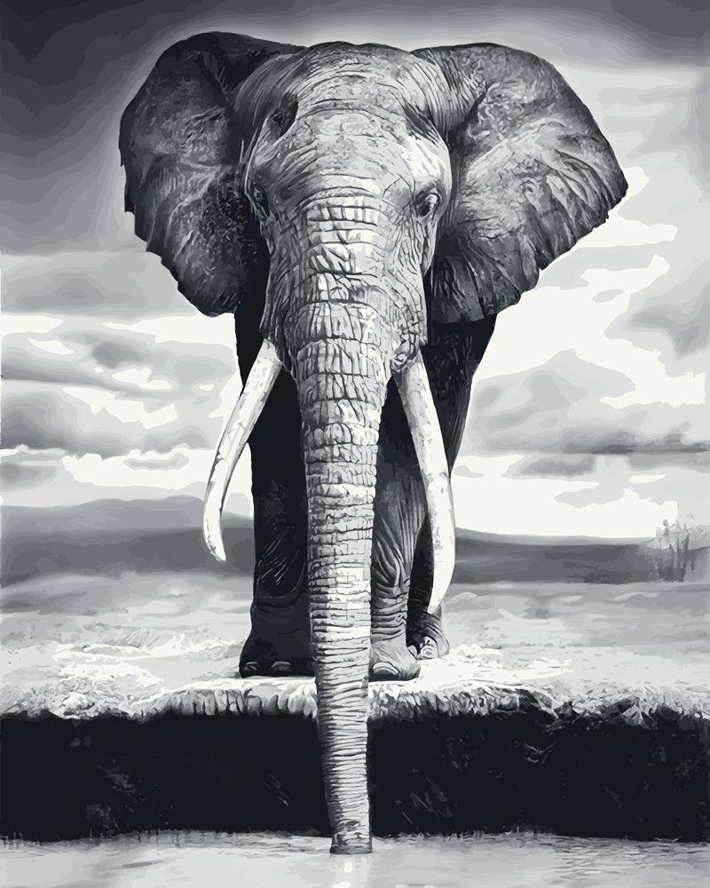 Dipingere con i numeri | Elefante Grigio | Figured'Art