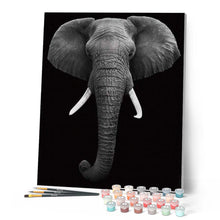 Carica l'immagine nel visualizzatore di Gallery, Dipingere con i numeri - Elefante Bianco E Nero Figured'Art