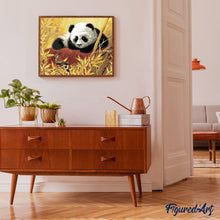 Carica l'immagine nel visualizzatore di Gallery, Dipingere con i numeri - Panda E Uccello