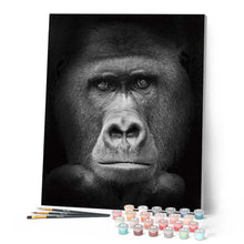 Carica l'immagine nel visualizzatore di Gallery, Dipingere con i numeri - Gorilla In Bianco E Nero Figured'Art