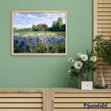 Carica l'immagine nel visualizzatore di Gallery, Dipingere con i numeri - Campo Di Campagna E Fiori Blu