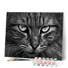Carica l'immagine nel visualizzatore di Gallery, Dipingere con i numeri - Testa Di Gatto Figured'Art