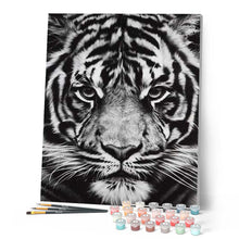 Carica l'immagine nel visualizzatore di Gallery, Dipingere con i numeri - Testa Di Tigre In Bianco E Nero Figured'Art