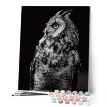 Carica l'immagine nel visualizzatore di Gallery, Dipingere con i numeri - Gufo Bianco E Nero Figured'Art