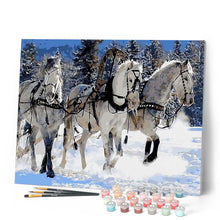 Carica l'immagine nel visualizzatore di Gallery, Dipingere con i numeri - Ballata Di Cavalli Nella Neve Figured'Art