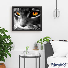 Carica l'immagine nel visualizzatore di Gallery, Dipingere con i numeri - Occhi Di Gatto