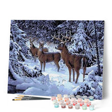 Carica l'immagine nel visualizzatore di Gallery, Dipingere con i numeri - Cervo Nella Neve Figured'Art