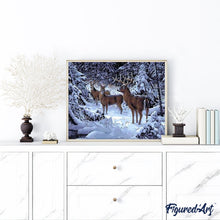 Carica l'immagine nel visualizzatore di Gallery, Dipingere con i numeri - Cervo Nella Neve