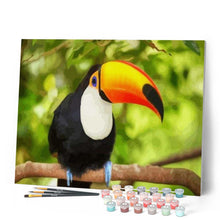 Carica l'immagine nel visualizzatore di Gallery, Dipingere con i numeri - Tucano Figured'Art