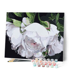 Carica l'immagine nel visualizzatore di Gallery, Dipingere con i numeri - Ritratto Di Fiori Bianchi Figured'Art