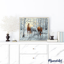 Carica l'immagine nel visualizzatore di Gallery, Dipingere con i numeri - Cavalli Nella Foresta Bianca