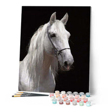 Carica l'immagine nel visualizzatore di Gallery, Dipingere con i numeri - Cavallo Bianco E Sfondo Nero Figured'Art