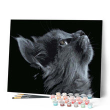 Carica l'immagine nel visualizzatore di Gallery, Dipingere con i numeri - Gatto Nero Che Guarda All'Insù Figured'Art