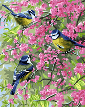 Carica l'immagine nel visualizzatore di Gallery, Dipingere con i numeri - Tre uccelli su rami fioriti