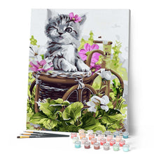 Carica l'immagine nel visualizzatore di Gallery, Dipingere con i numeri - Adorabile gattino grigio Figured'Art