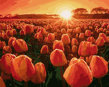 Carica l'immagine nel visualizzatore di Gallery, Dipingere con i numeri - Tulipani all'alba