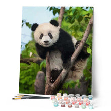 Carica l'immagine nel visualizzatore di Gallery, Dipingere con i numeri - Panda Sull'Albero Figured'Art