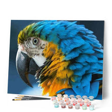 Carica l'immagine nel visualizzatore di Gallery, Dipingere con i numeri - Ara Blu E Gialla Figured'Art