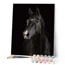 Carica l'immagine nel visualizzatore di Gallery, Dipingere con i numeri - Cavallo Nero Figured'Art